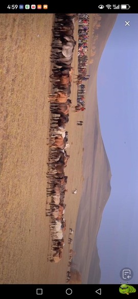 mmexport1727565515292