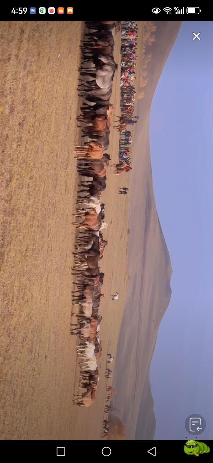 mmexport1727565515292