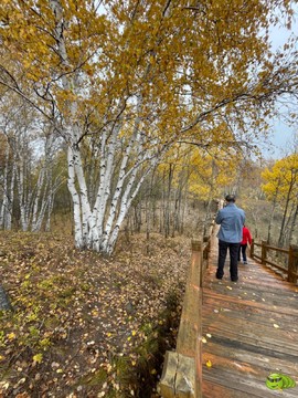 mmexport1727492739341