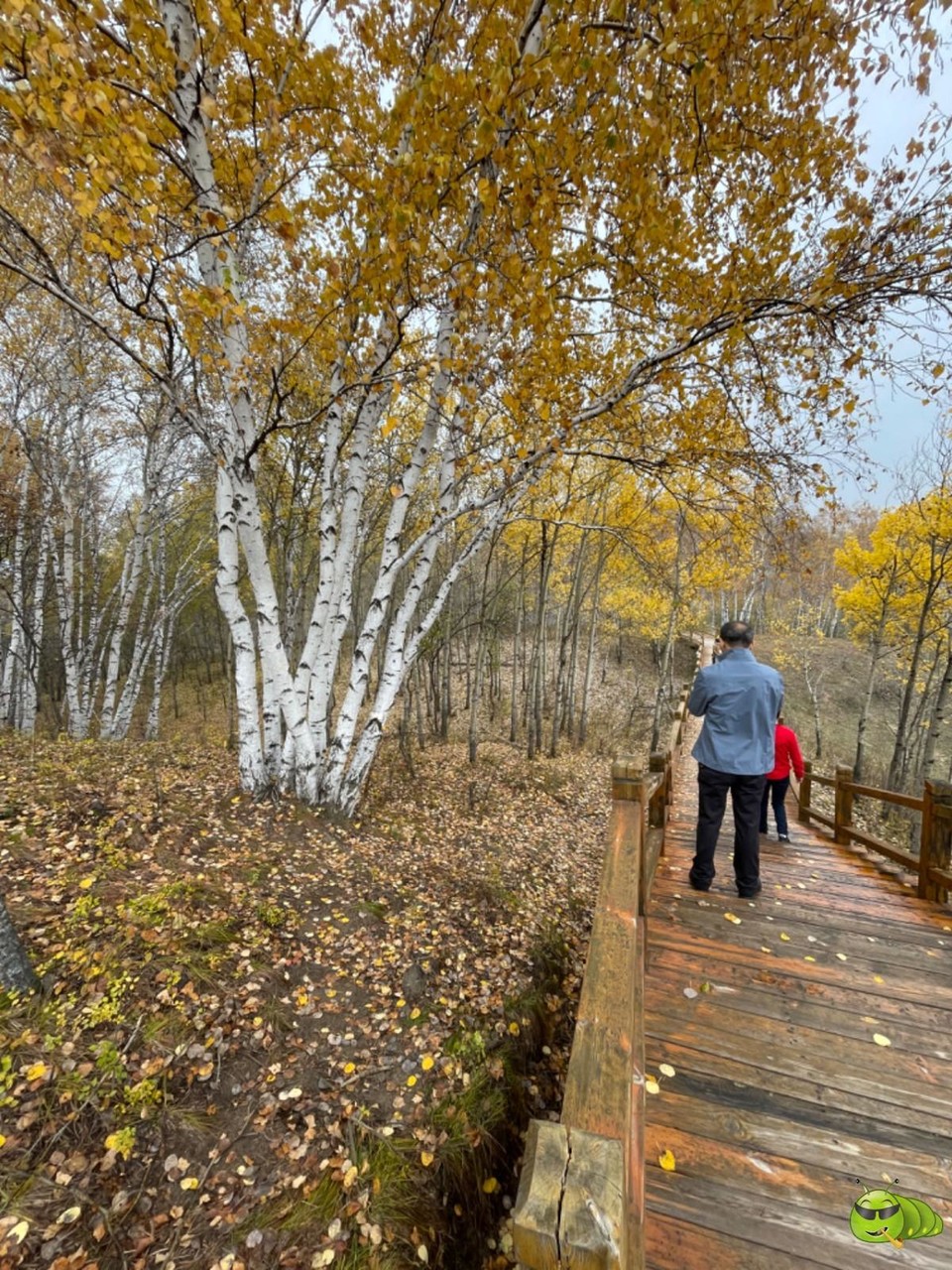 mmexport1727492739341