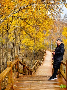 mmexport1727504154821