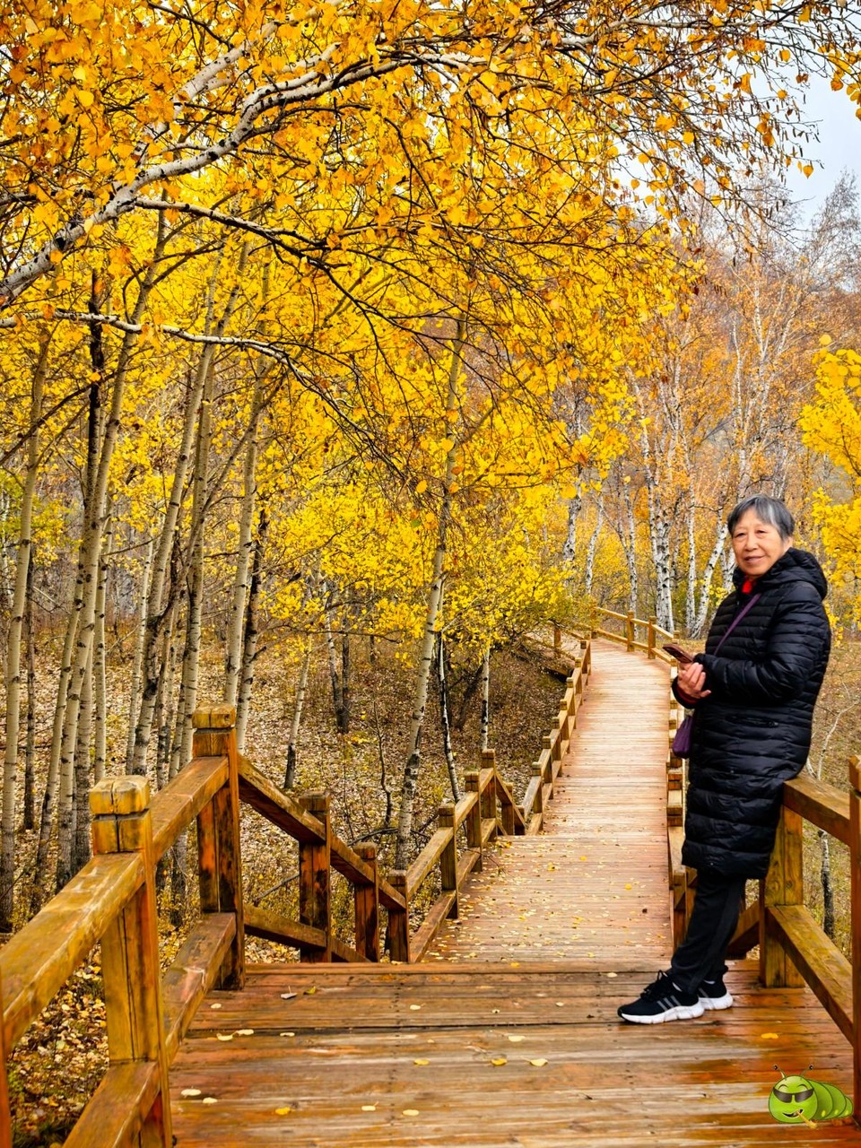 mmexport1727504154821