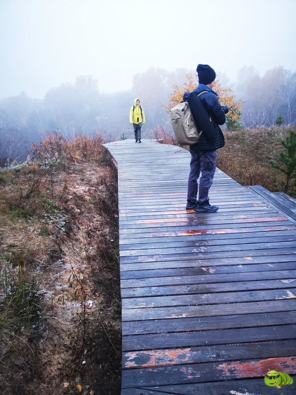 IMG_20240928_062258-01