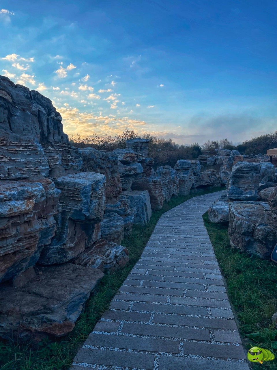 mmexport1727390887101-01