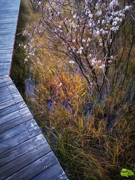 IMG_20240928_060148-01