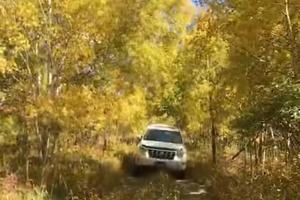 无兄弟，不越野