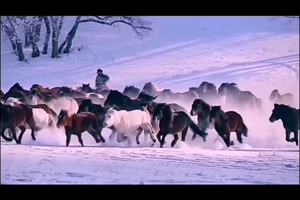 冬季奔马