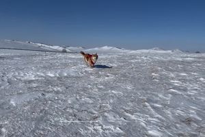 让青春吹动你的长发