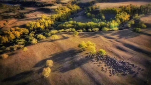 2025第十届秋季坝上万马奔腾摄影团招募中