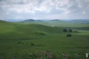 六月的坝上草原　人间仙境