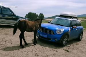 又遇见碰瓷的！