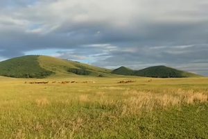 跑马溜溜的山上