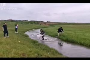 拔河