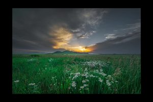 林深时见鹿