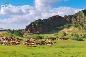 万马奔腾，万马失蹄