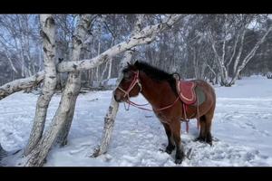 窝就在这里等你来