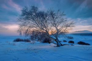 冬天该有的样子