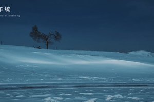 雪里有人在等你