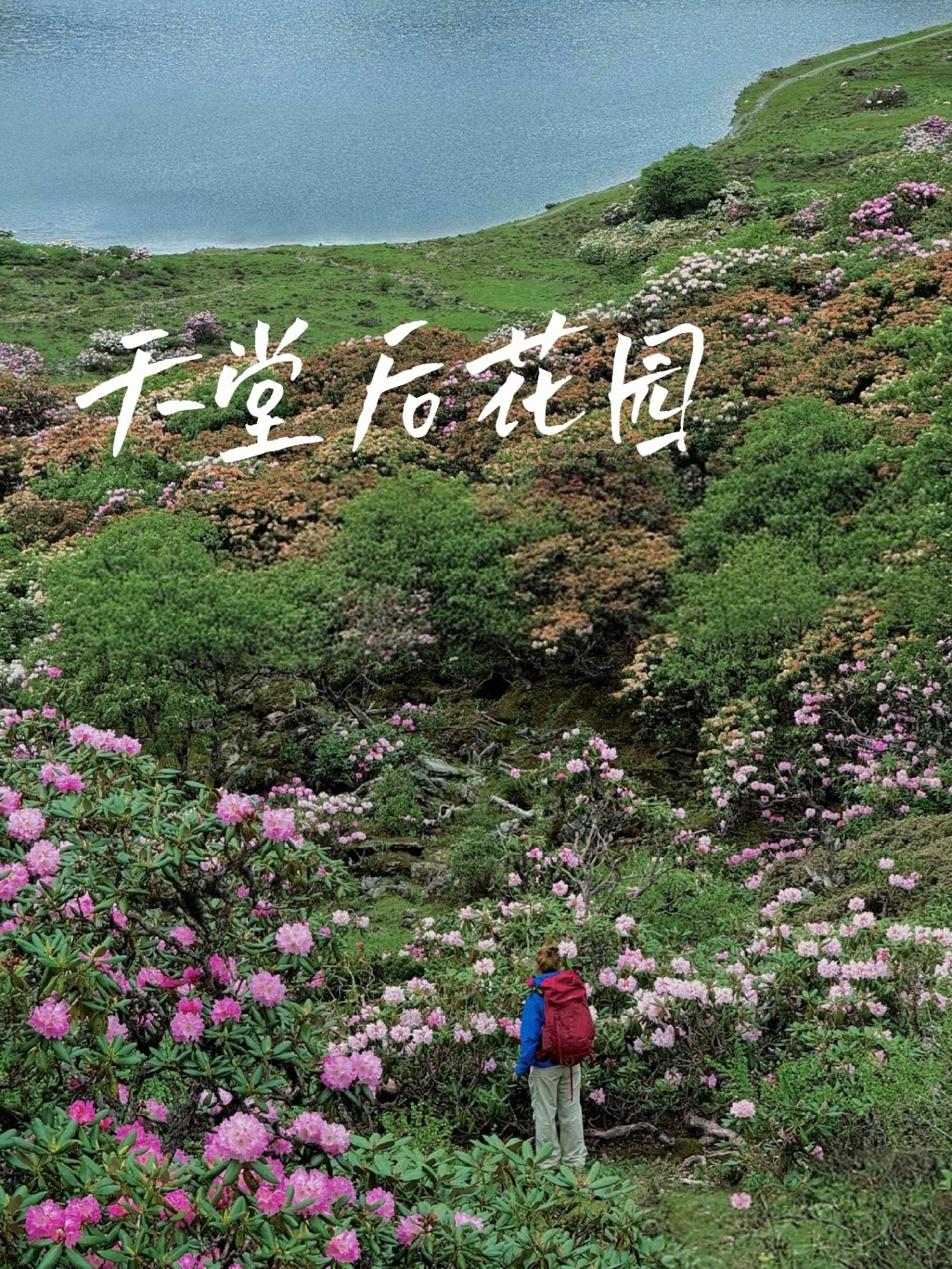 微信图片_20250319181632.jpg
