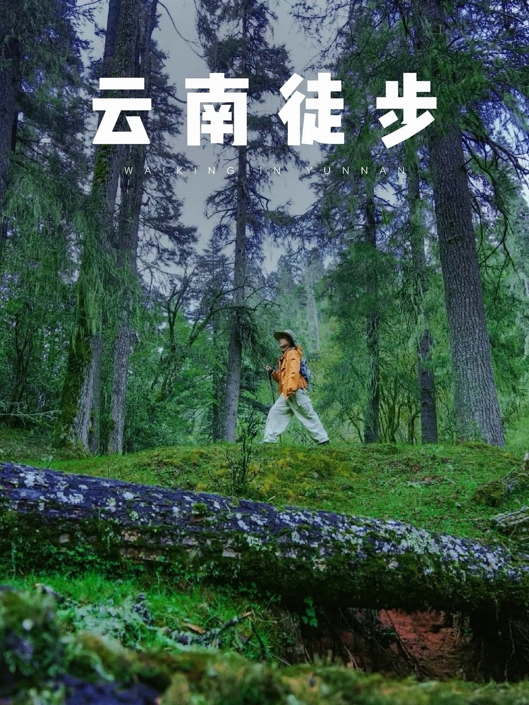微信图片_20250319223901.jpg