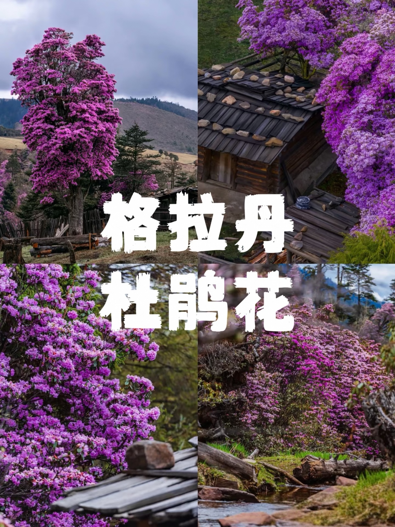 微信图片_20250319204841.jpg