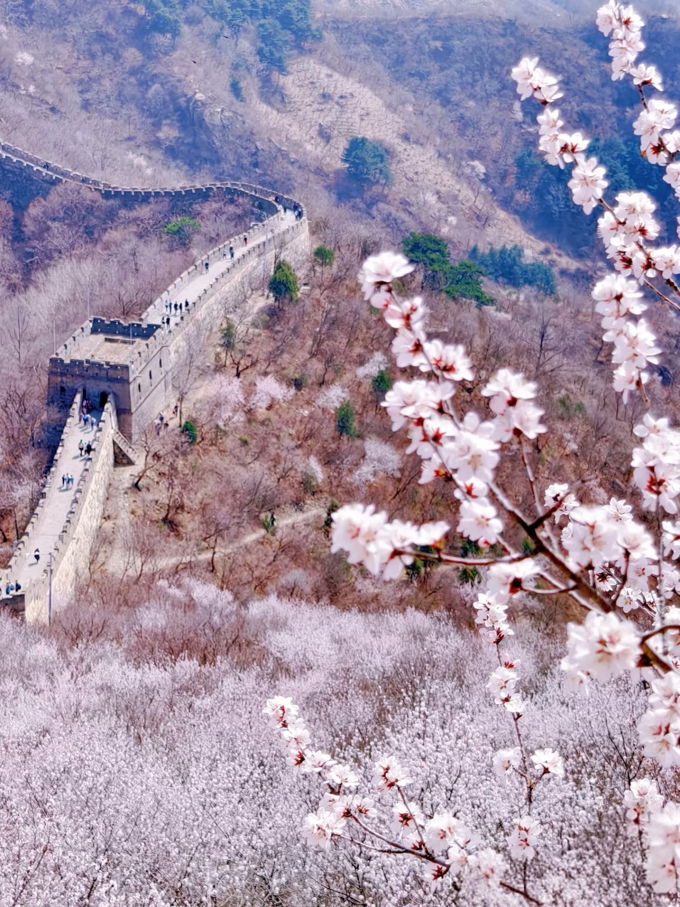 微信图片_20250321153036.jpg