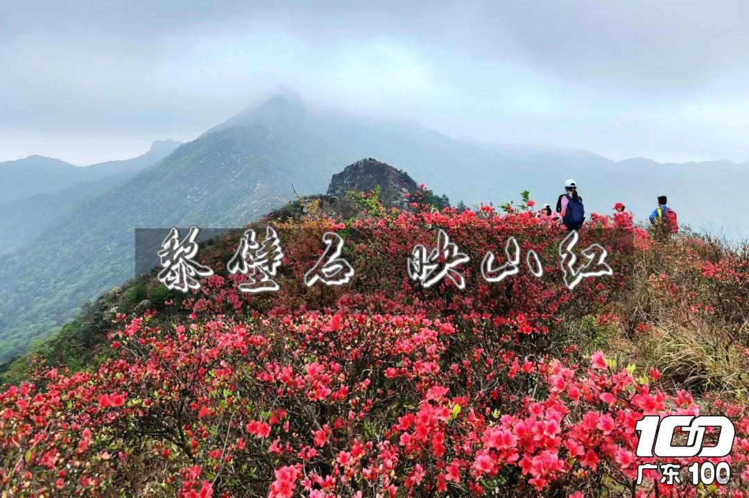 微信图片_20210409161709.jpg