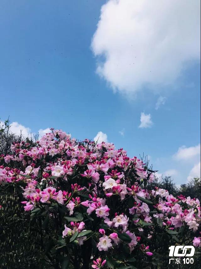 微信图片_20210409162626.jpg