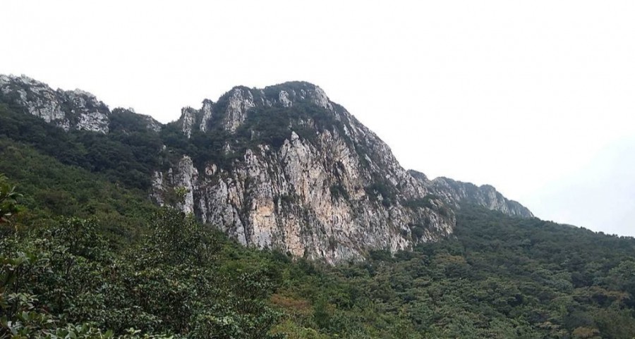 d1 (7).jpg