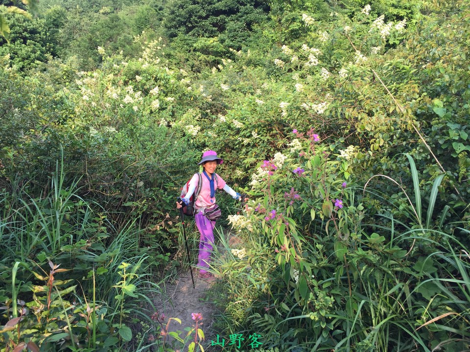 mmexport1501498475028