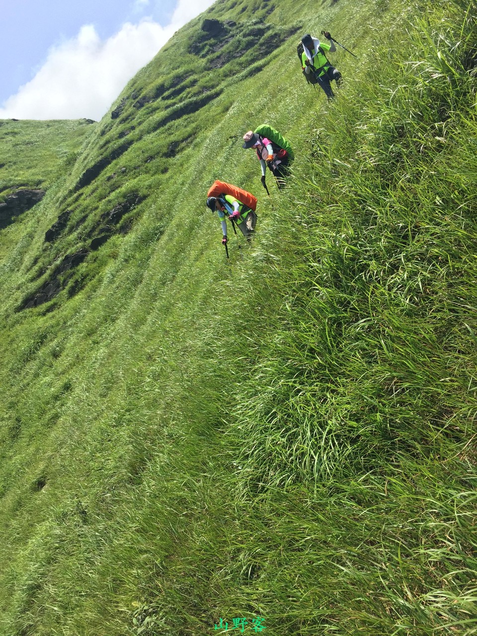 mmexport1501505578240