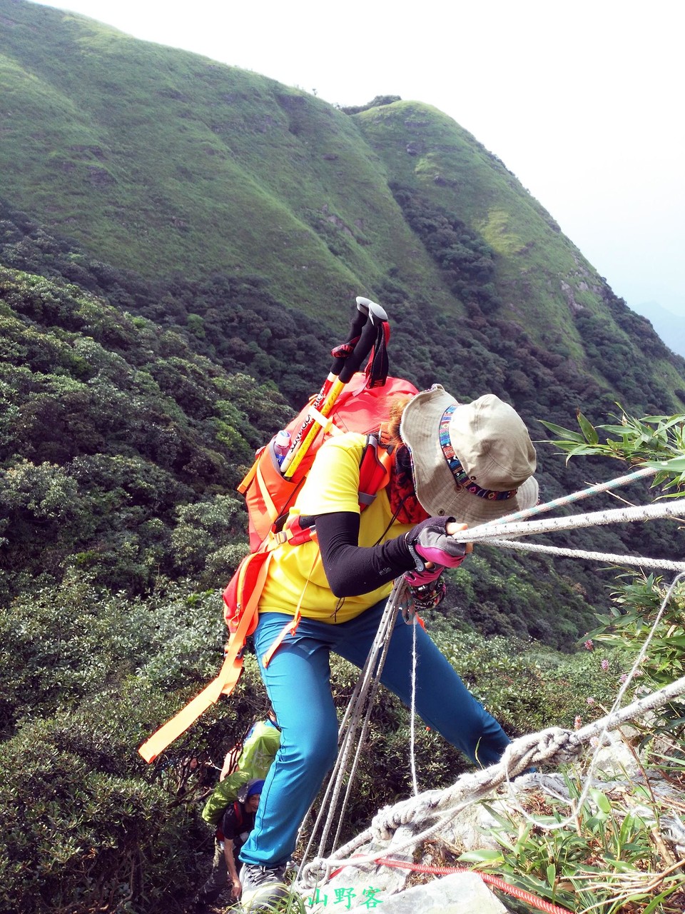 mmexport1501506591135