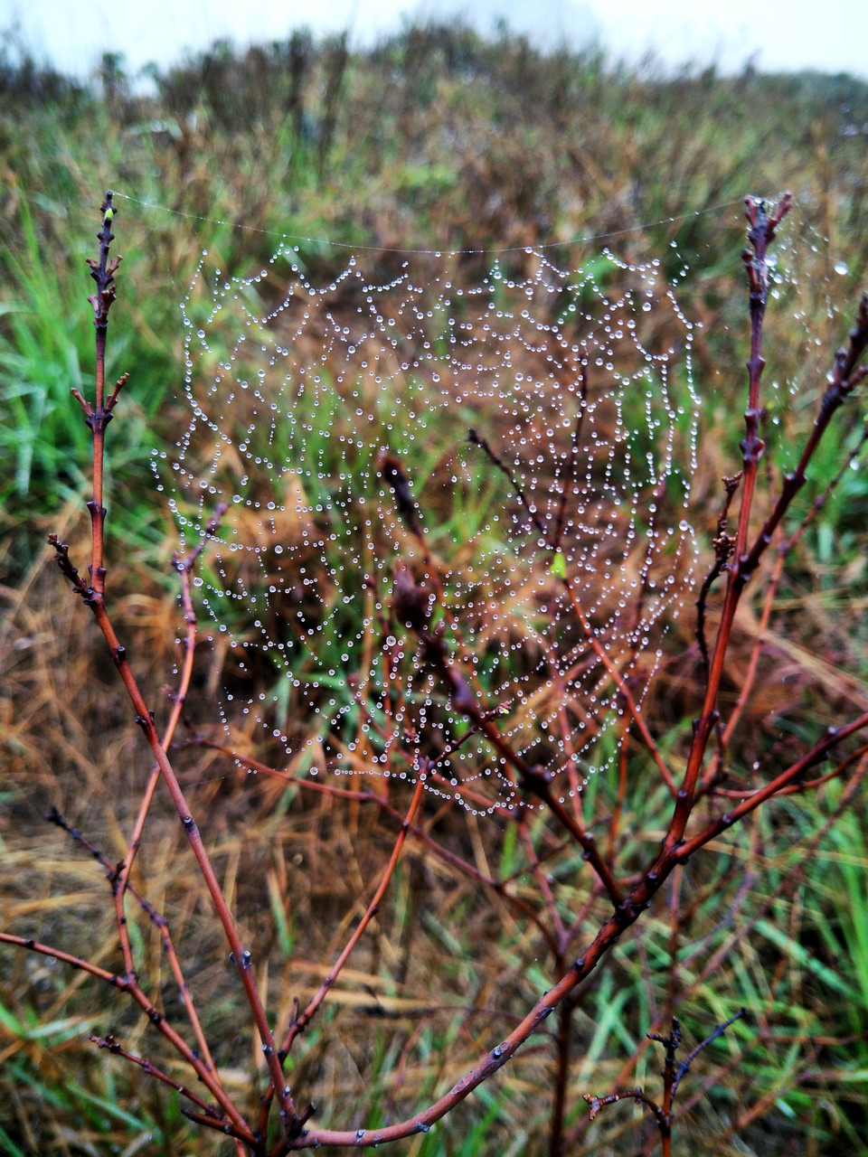 C360_2017-03-12-11-00-03-988