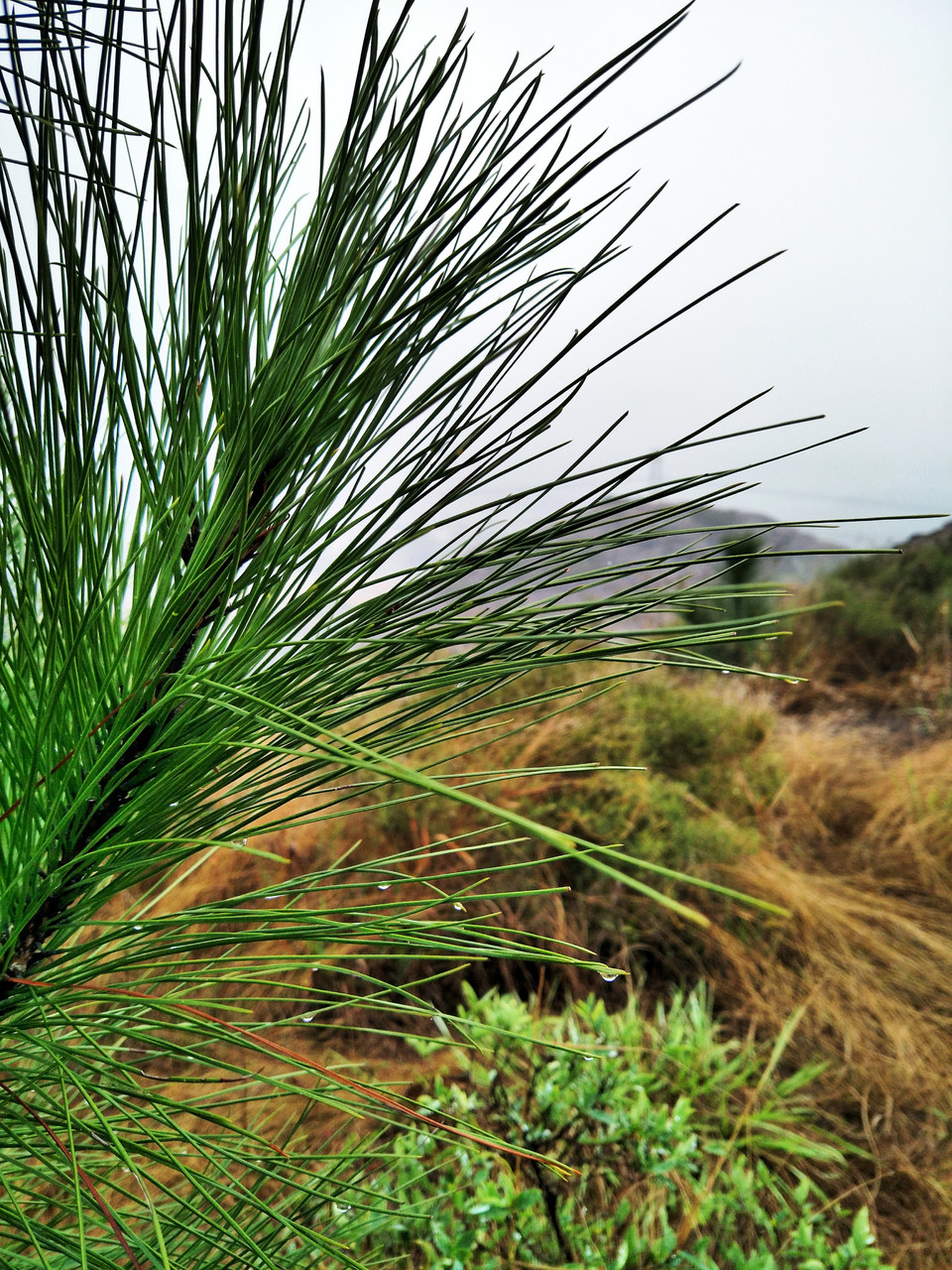 C360_2017-03-12-12-06-01-015