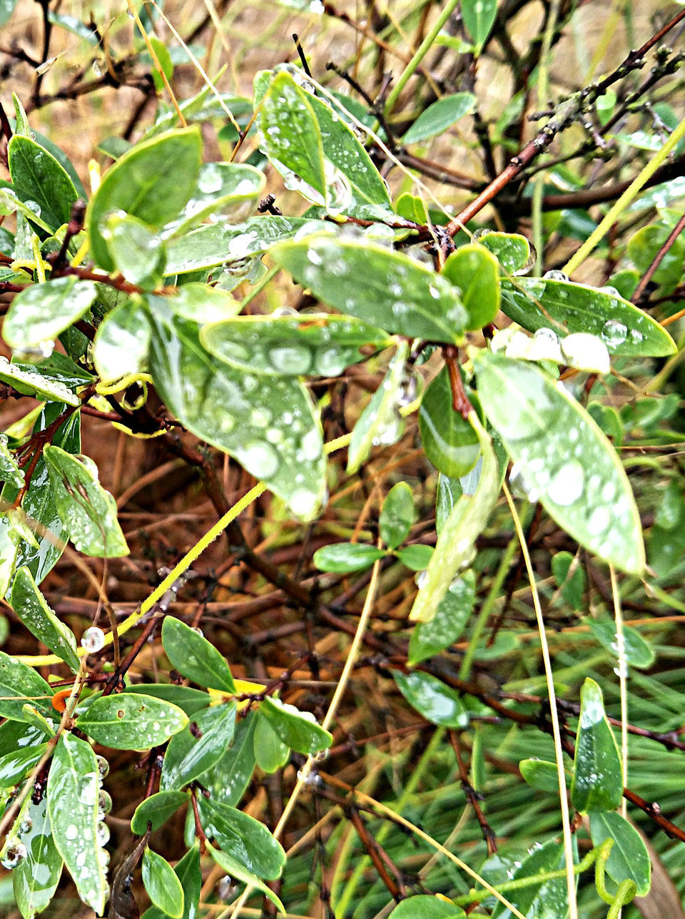 C360_2017-03-12-12-07-57-817