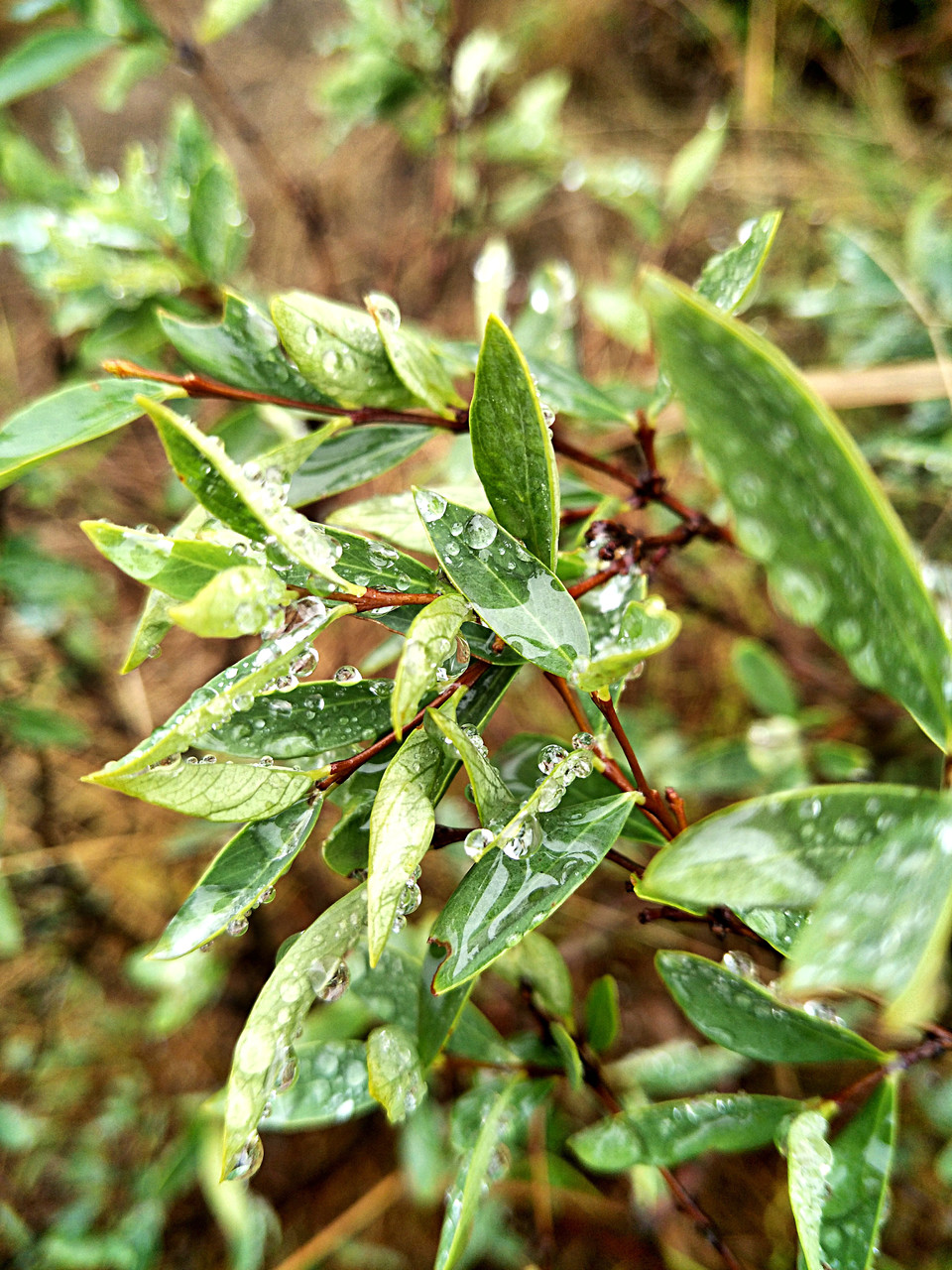 C360_2017-03-12-12-08-33-961