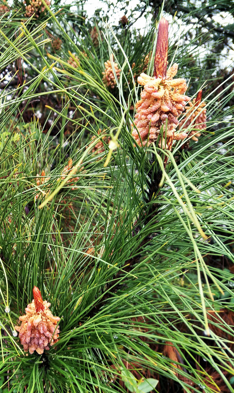 C360_2017-03-12-12-09-22-950