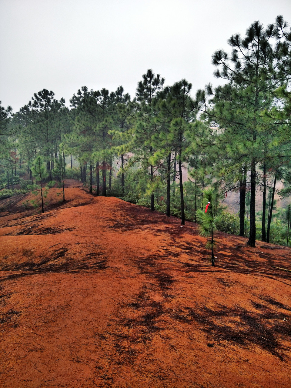 C360_2017-03-12-12-12-12-513