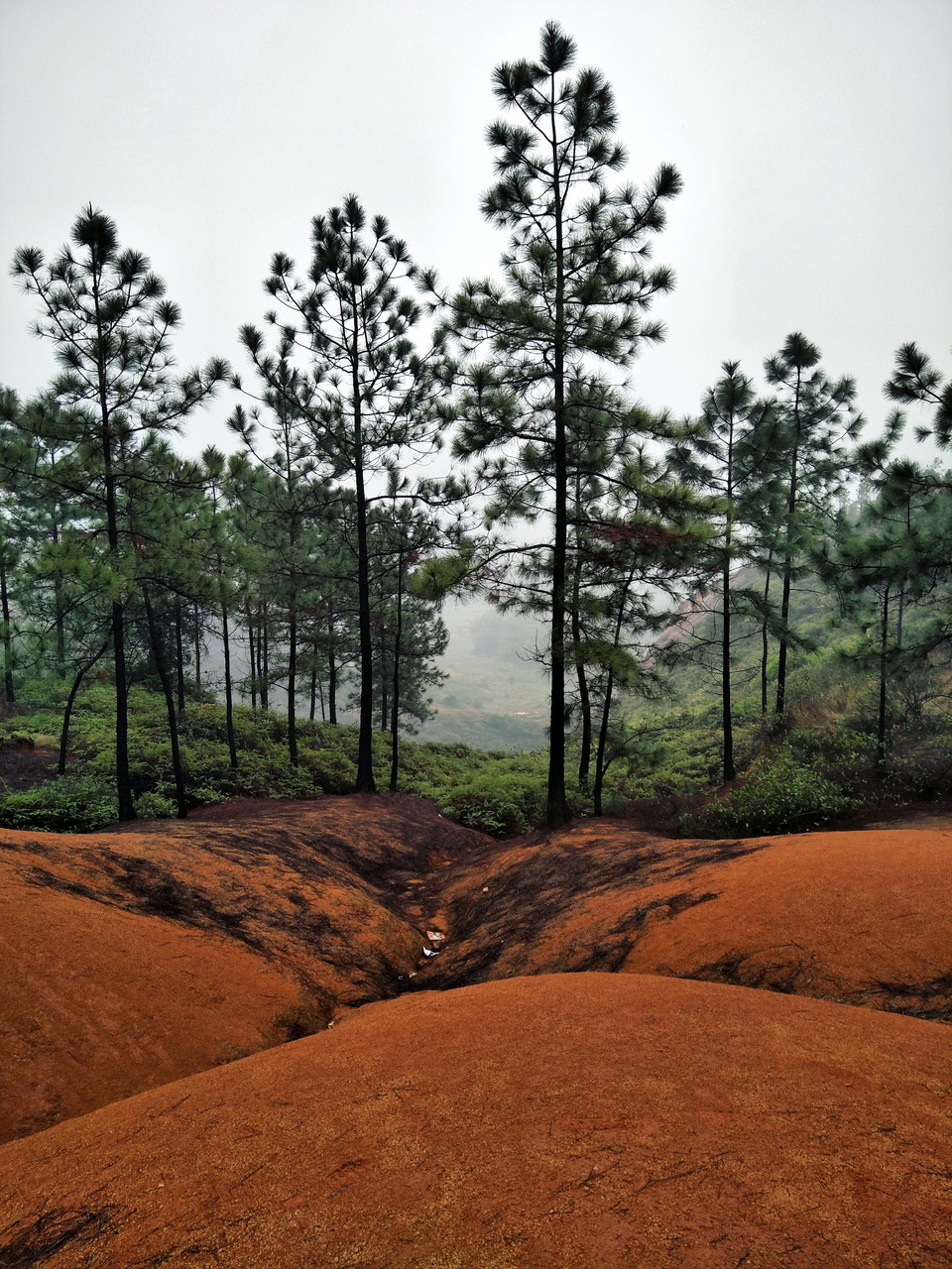 C360_2017-03-12-12-12-33-979