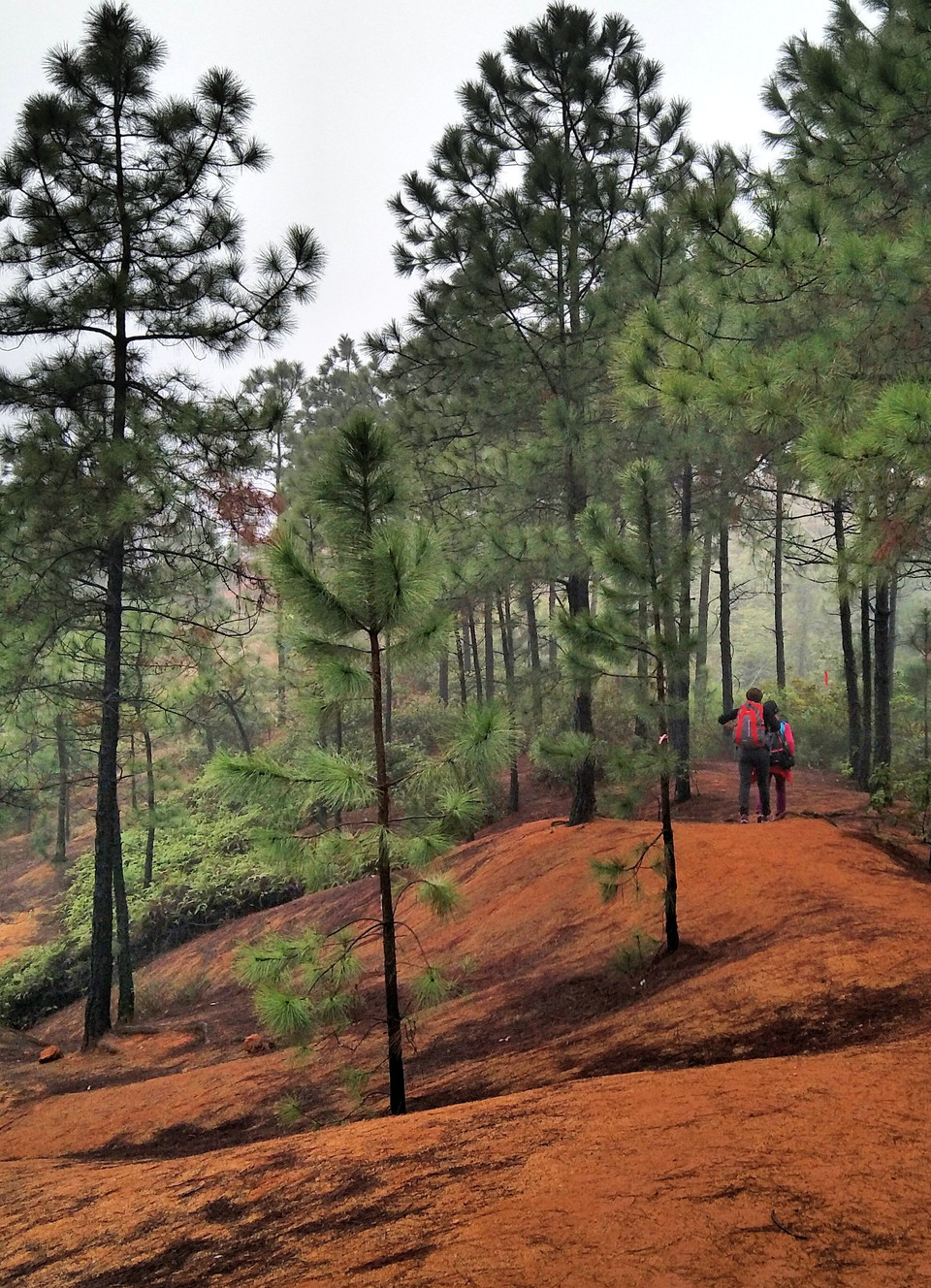 C360_2017-03-12-12-12-42-740