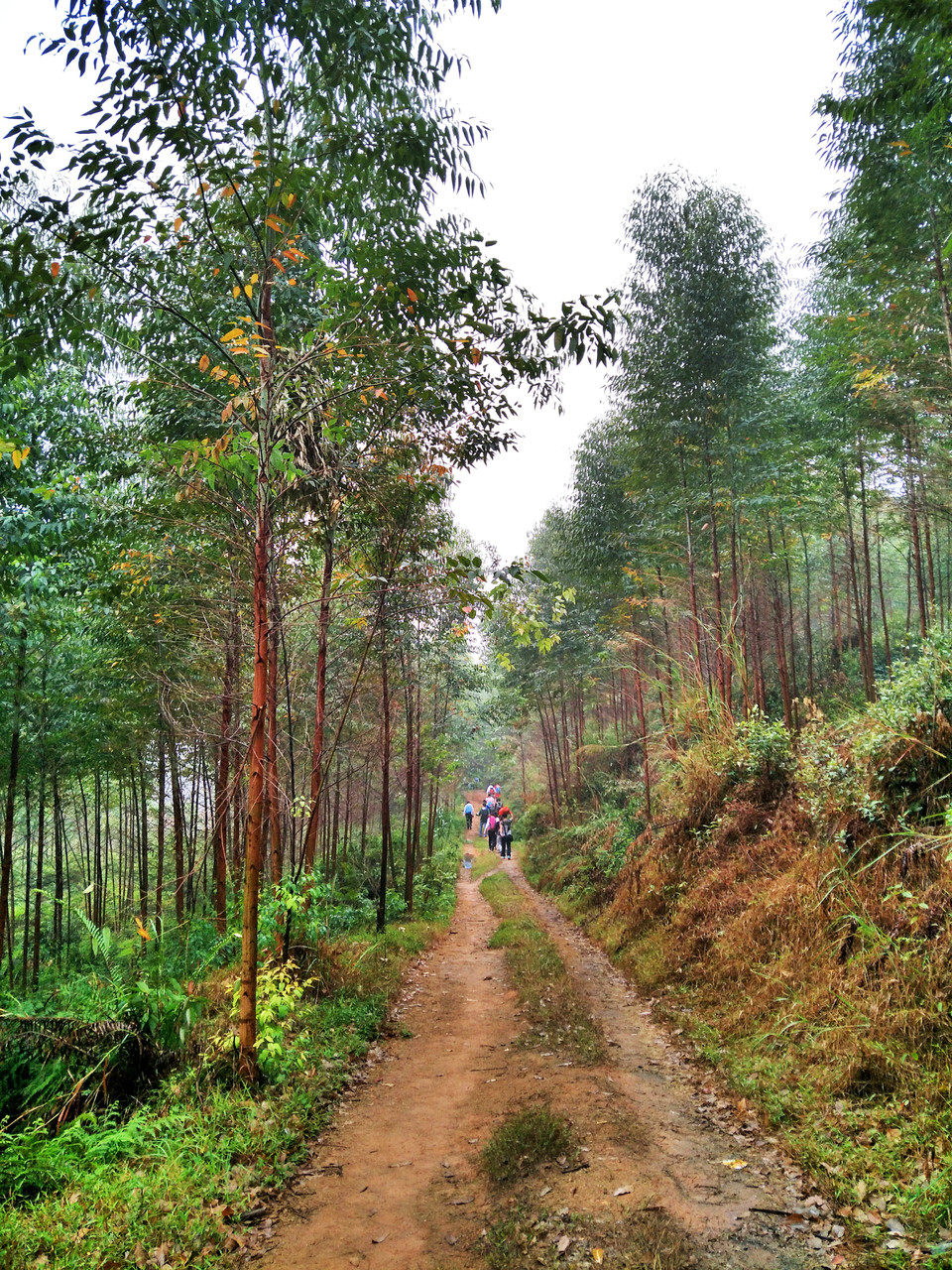 C360_2017-03-12-13-11-49-879