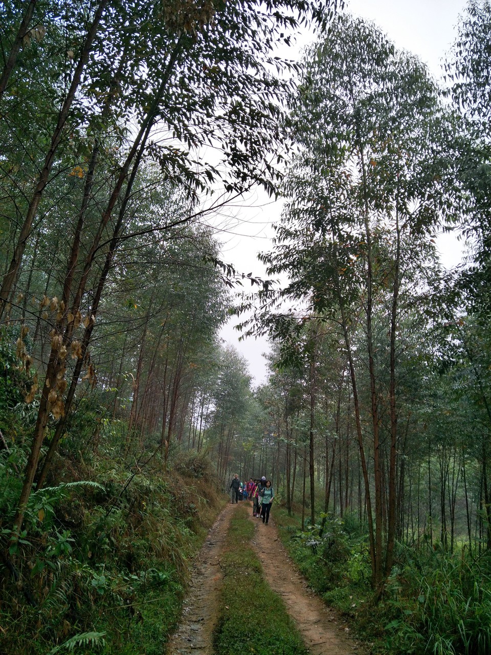 C360_2017-03-12-13-12-18-556