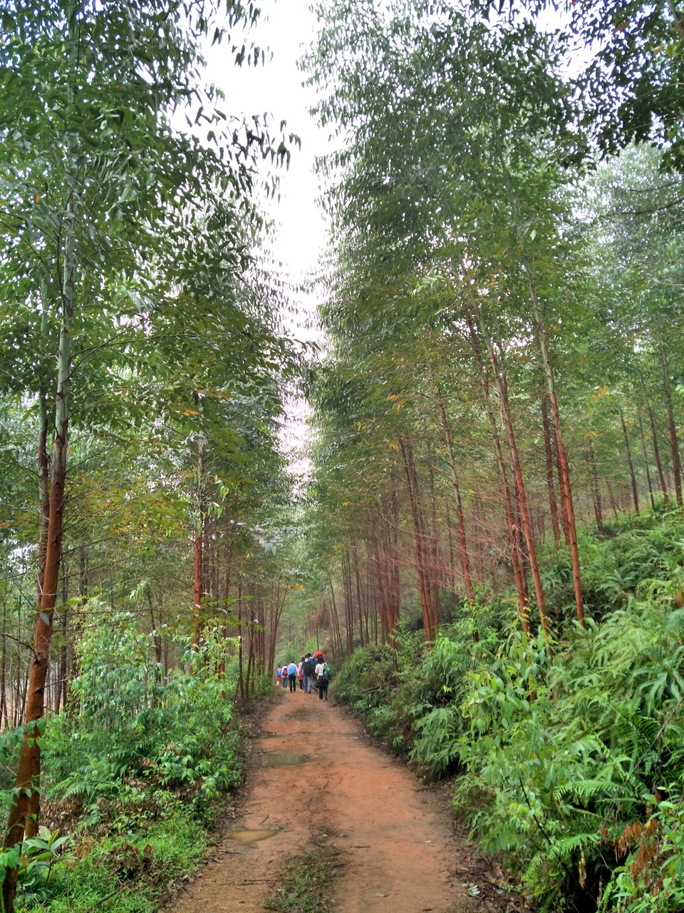 C360_2017-03-12-13-13-01-058