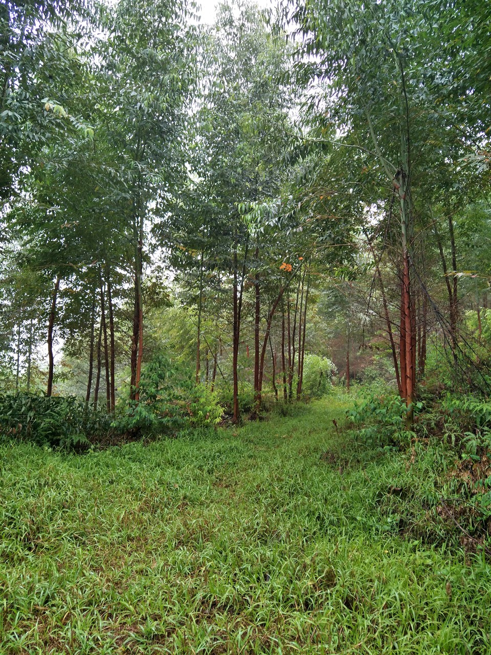 C360_2017-03-12-13-16-43-027