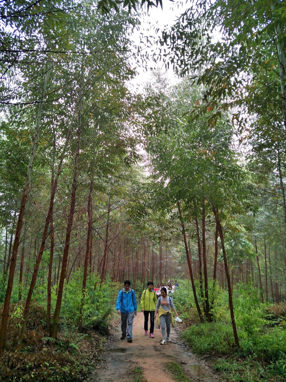 C360_2017-03-12-13-19-06-523