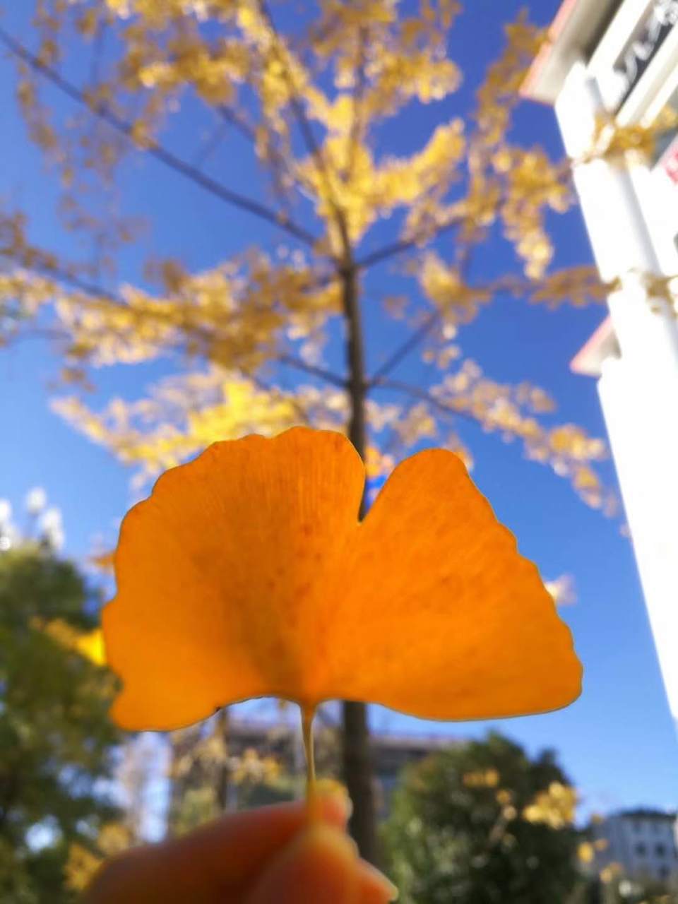 微信图片_20180105180350