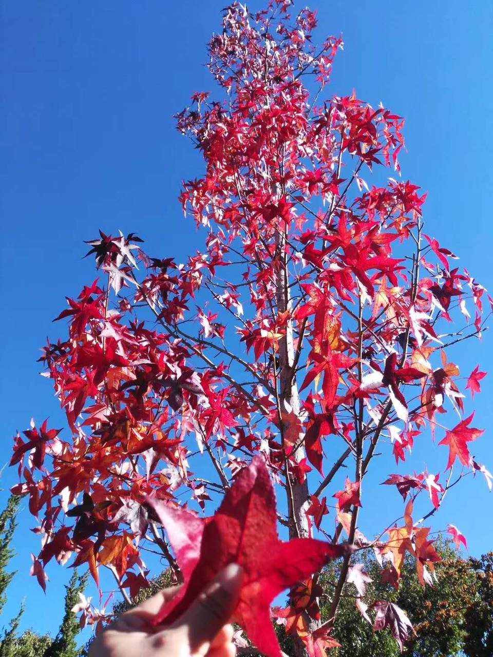 微信图片_20180105180353