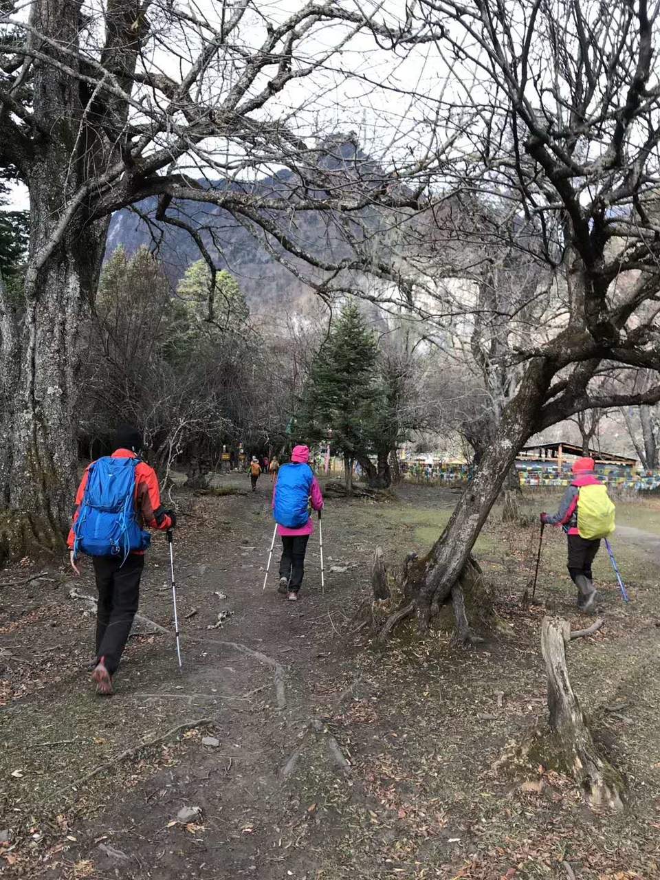 微信图片_20180105180444