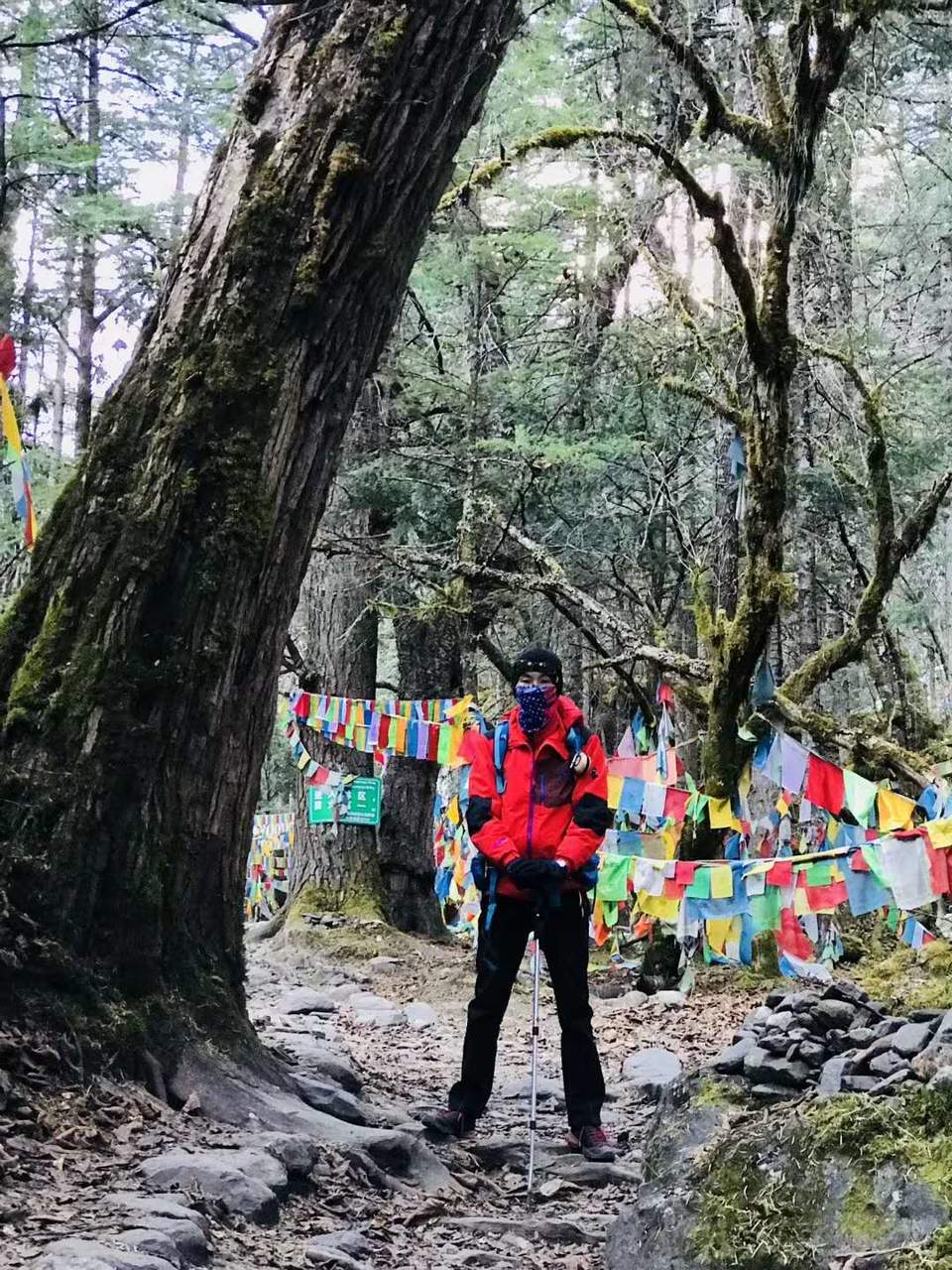 微信图片_20180105180448