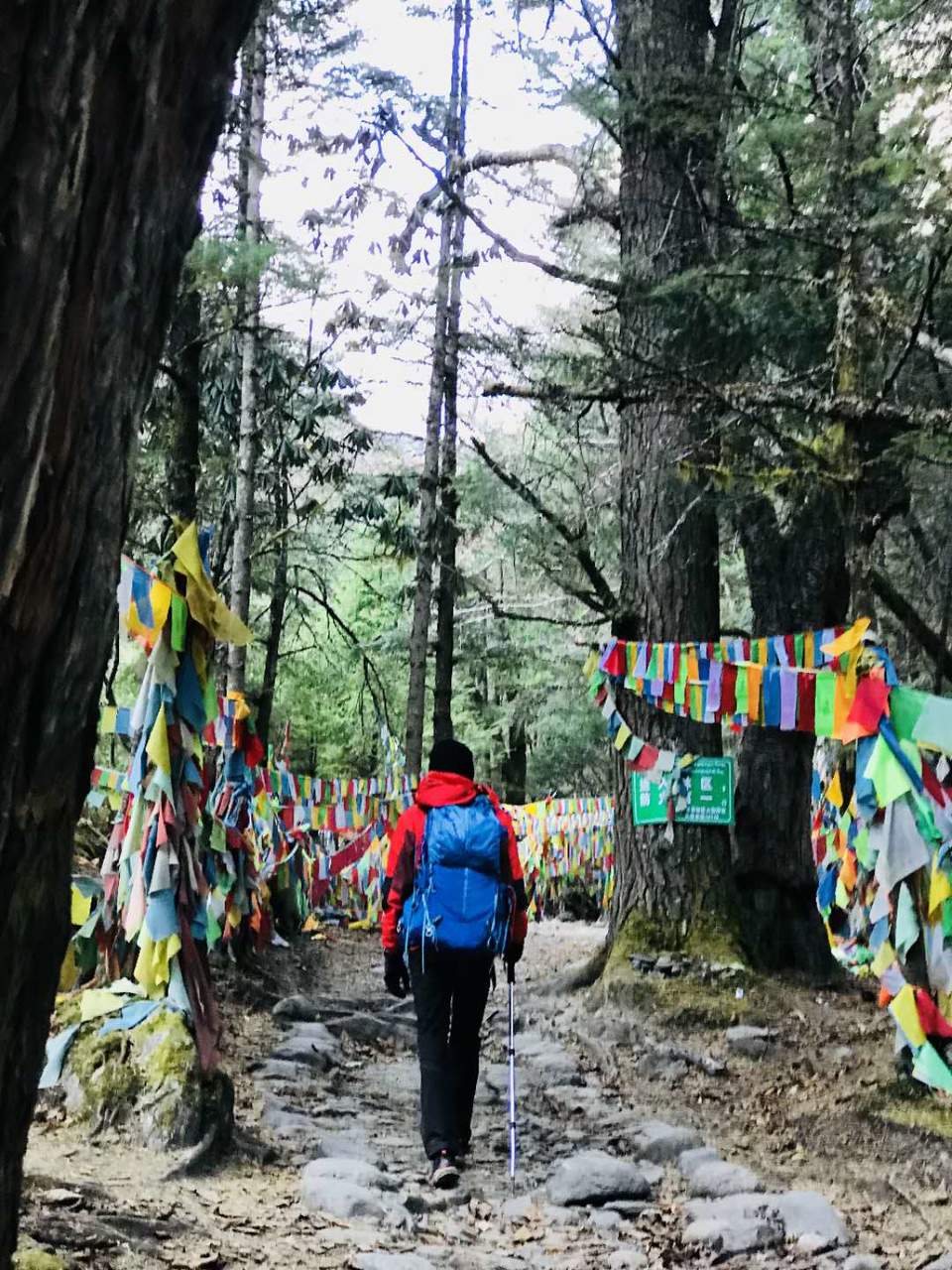 微信图片_20180105180532